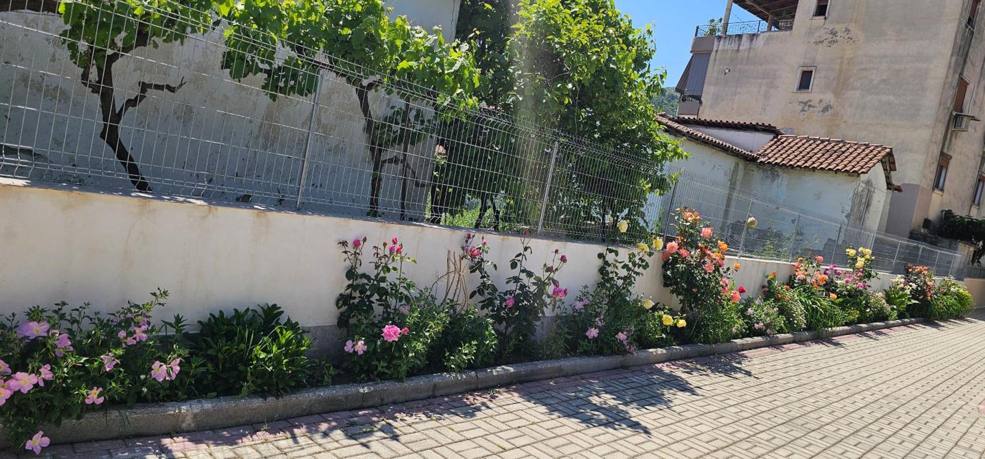 Aliaj Guest House Berat Exterior foto